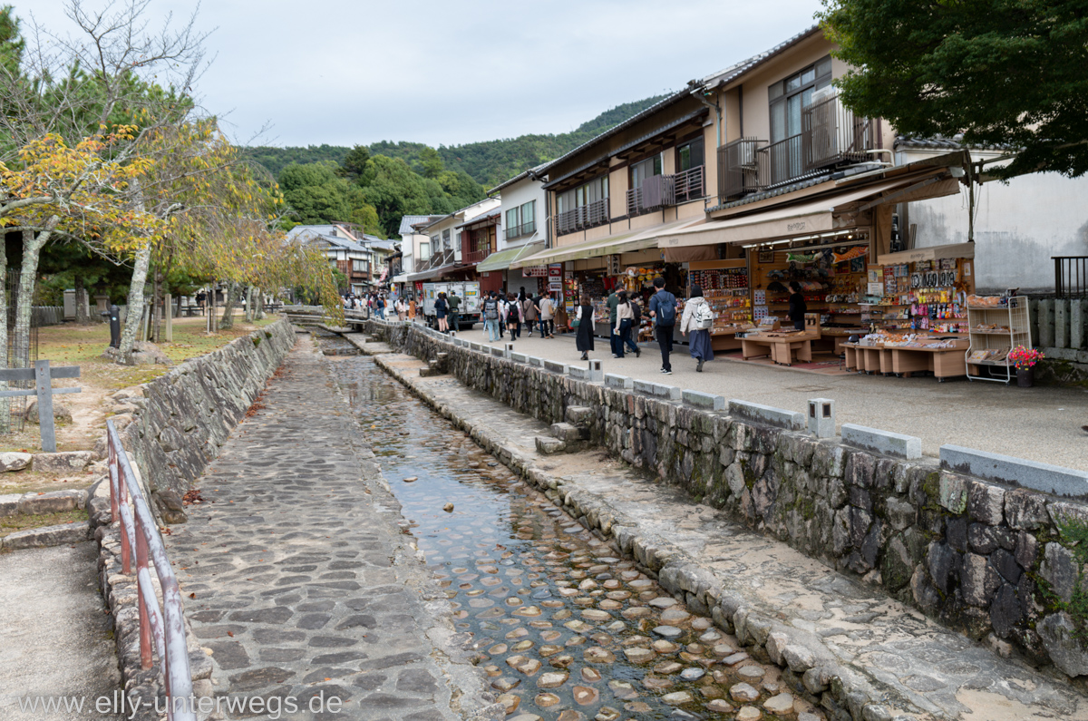 Miyajima-Tagestour-26.jpg