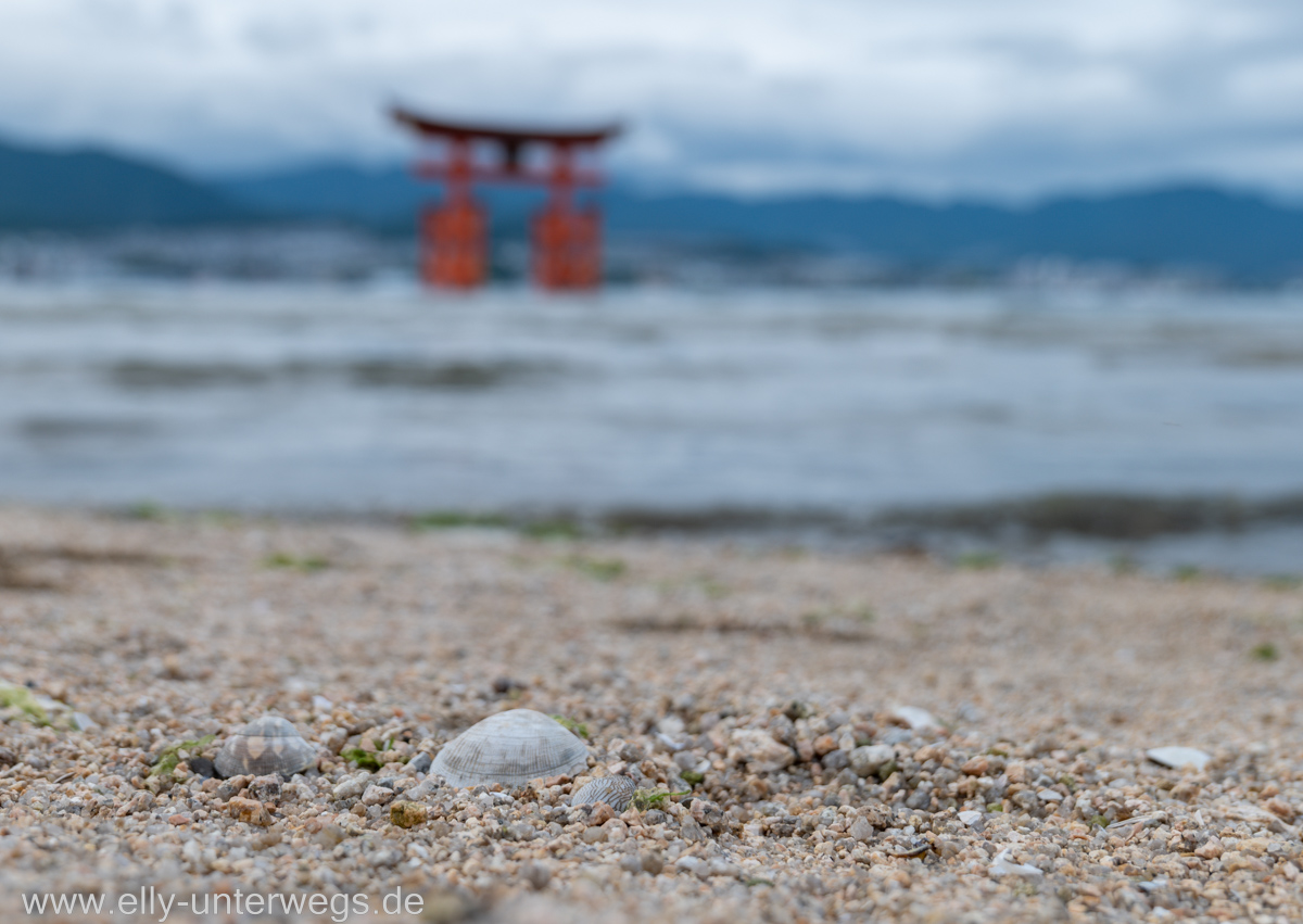 Miyajima-Tagestour-35.jpg