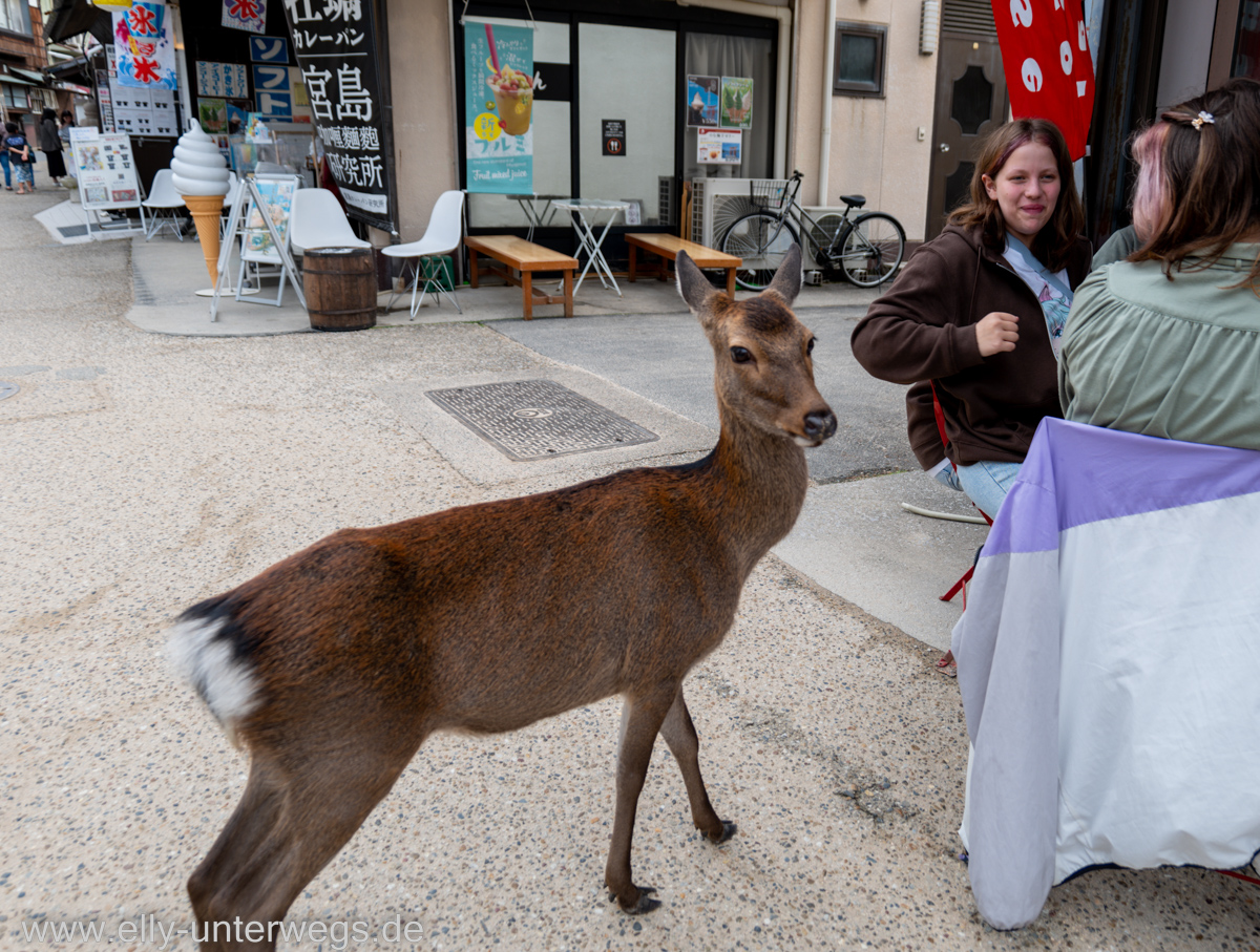 Miyajima-Tagestour-43.jpg