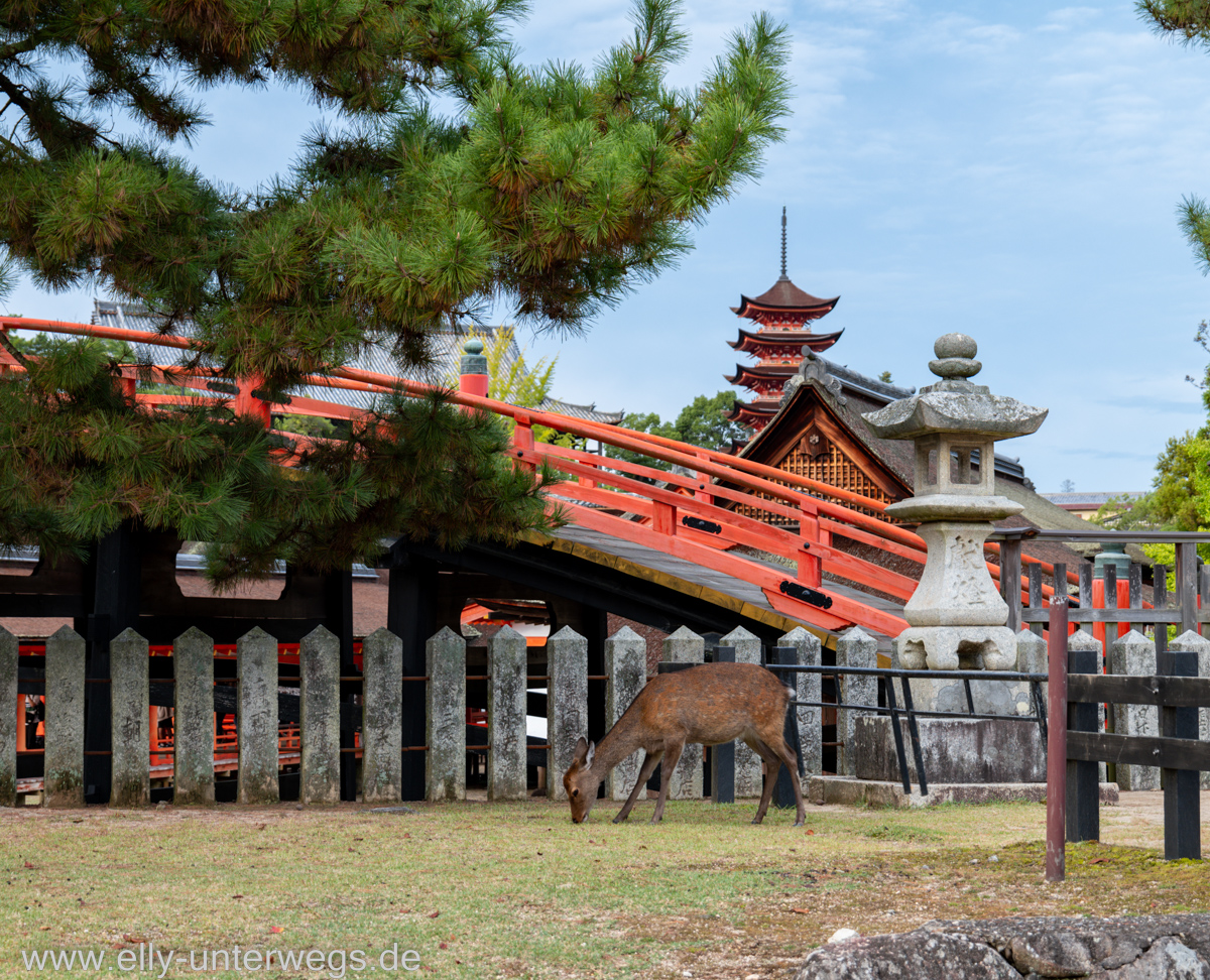 Miyajima-Tagestour-47.jpg