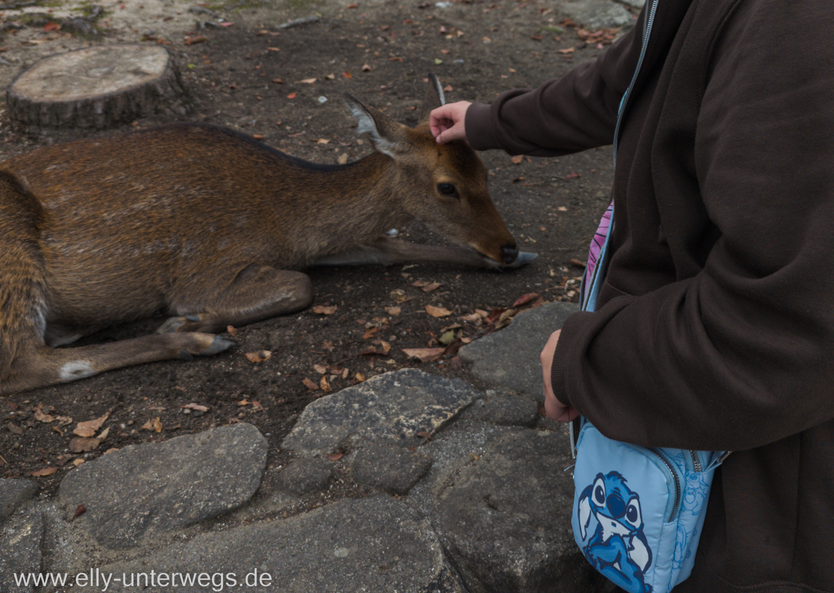 Miyajima-Tagestour-71.jpg