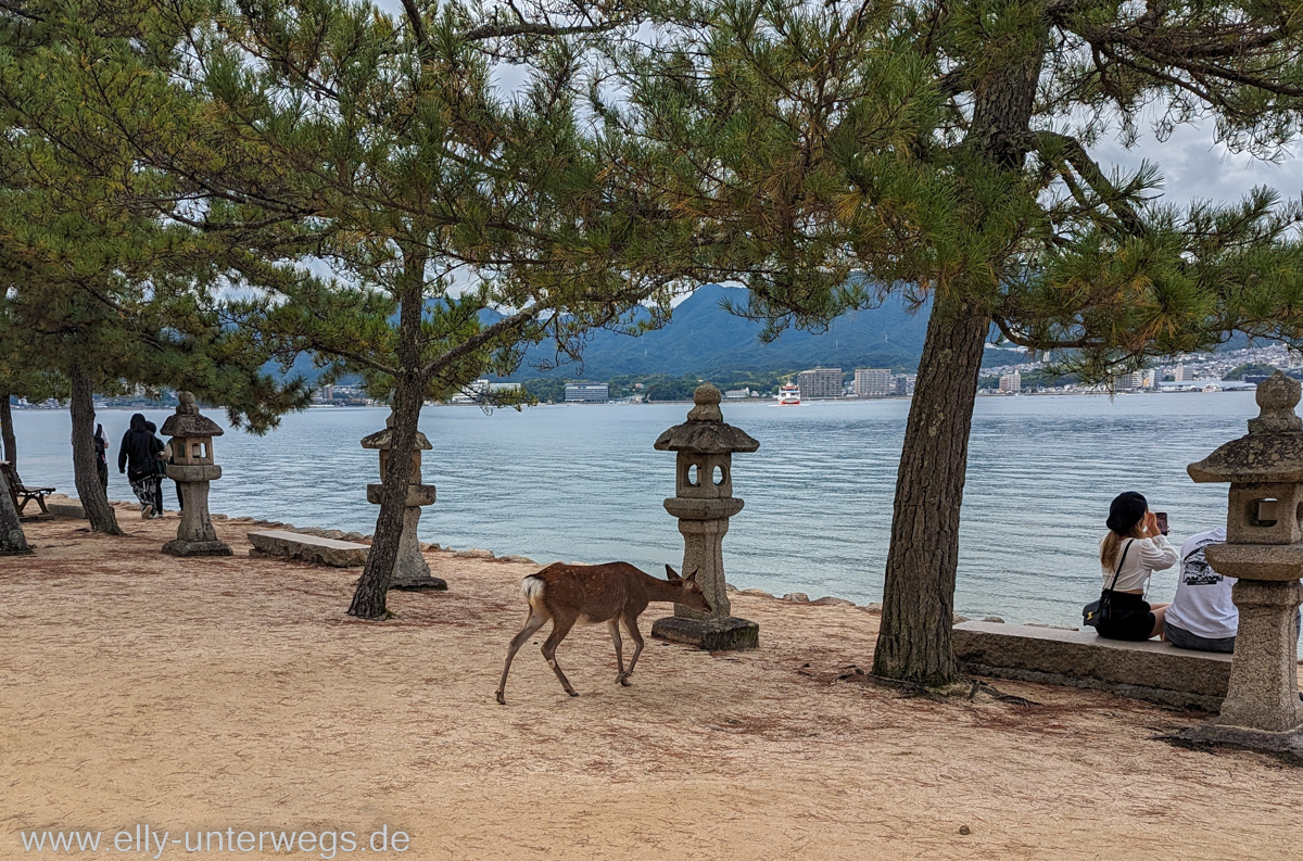 Miyajima-Tagestour-73.jpg