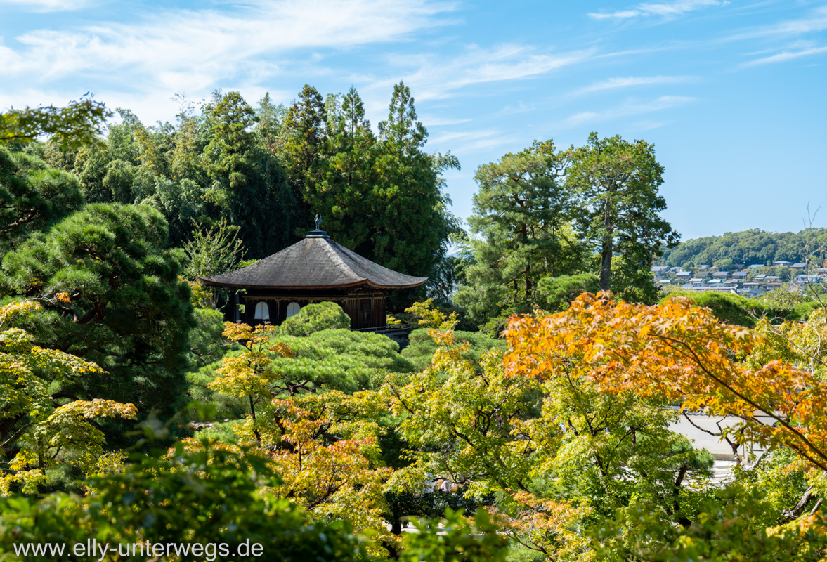 Kyoto-Sightseeing-Tempel-HohoBus-33.jpg