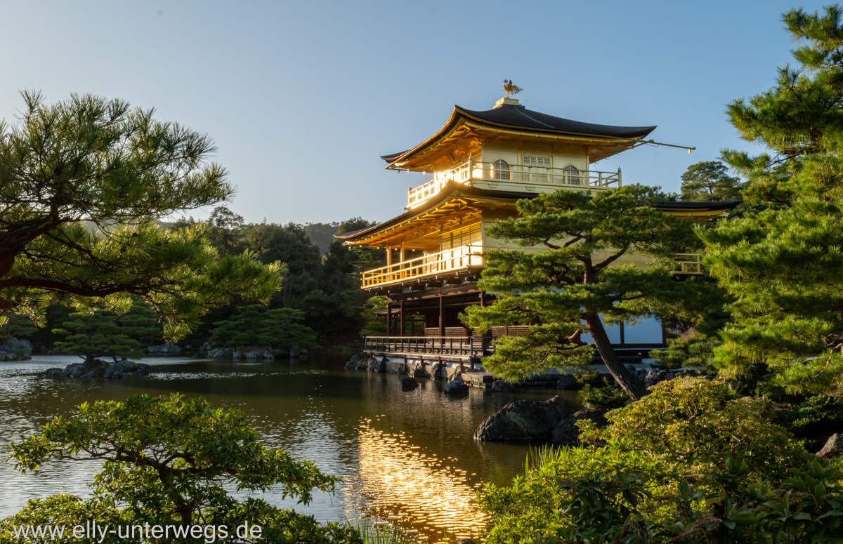 Kyoto-Sightseeing-Tempel-HohoBus-84.jpg