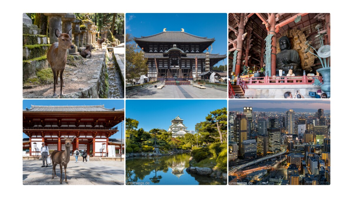 Kyoto: Tagesausflug nach Nara und Osaka