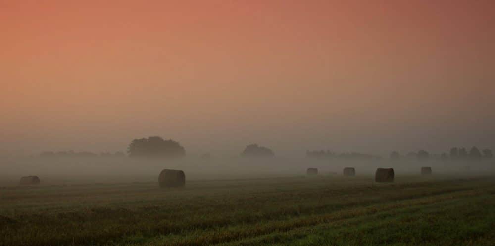 Ausblick im Münsterland