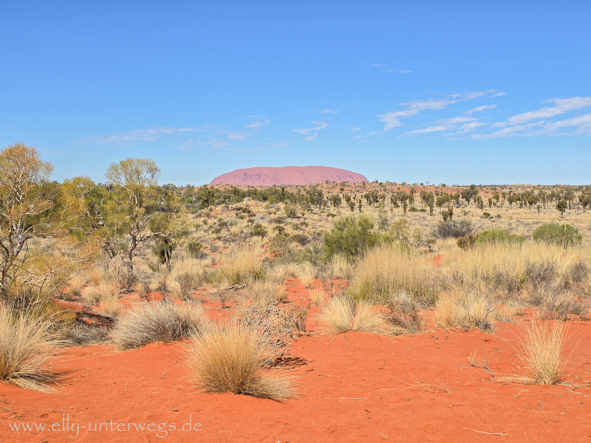 Australien: Vom Outback in den Regenwald