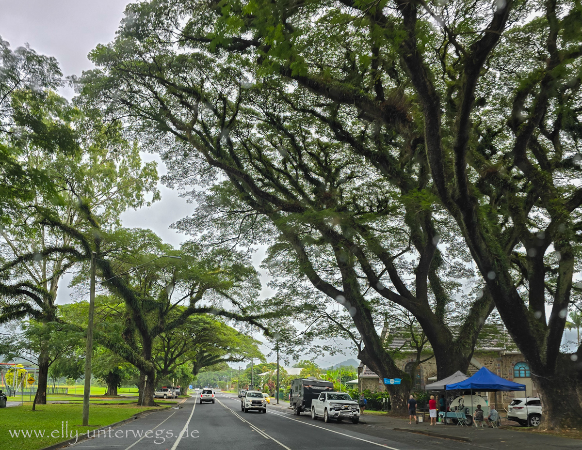 Unterwegs in Nordqueensland: tropische Vegetation bei Regenwetter
