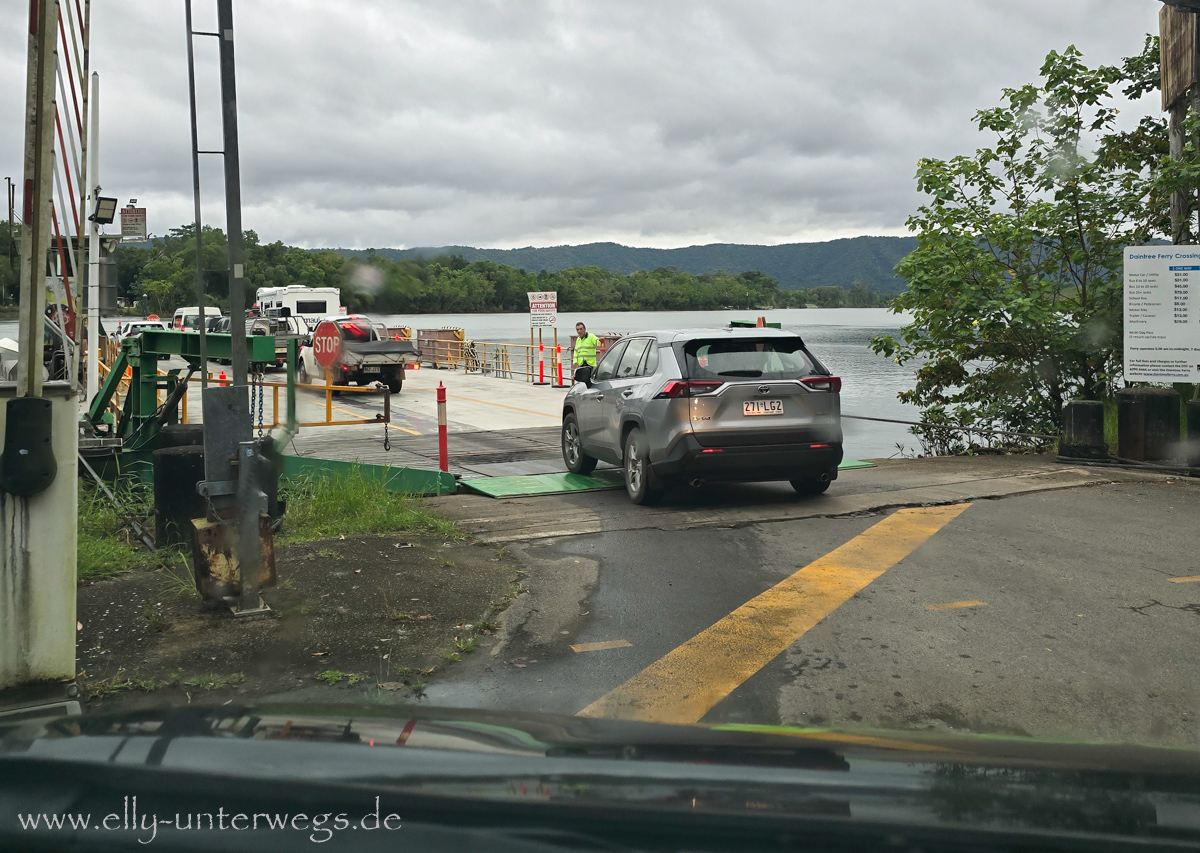 Rückfahrt nach Port Douglas: Blick aus dem Fahrzeug auf die nasse Landschaft