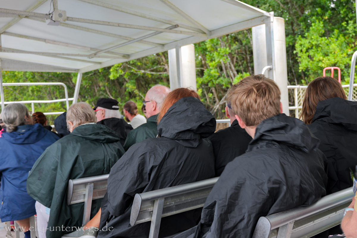 Daintree River Cruise: Bootsfahrt auf dem Fluss bei Regen
