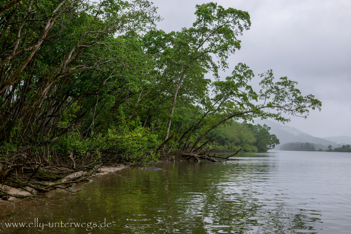 Daintree River: Blick über das Wasser während der Bootsfahrt