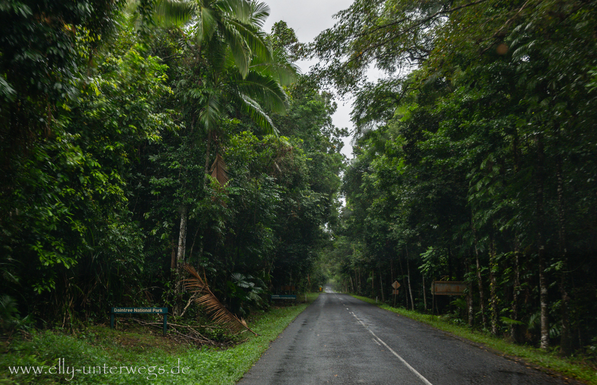 Mittagsstopp: Lodge im Regenwald, Umgebung im Grünen
