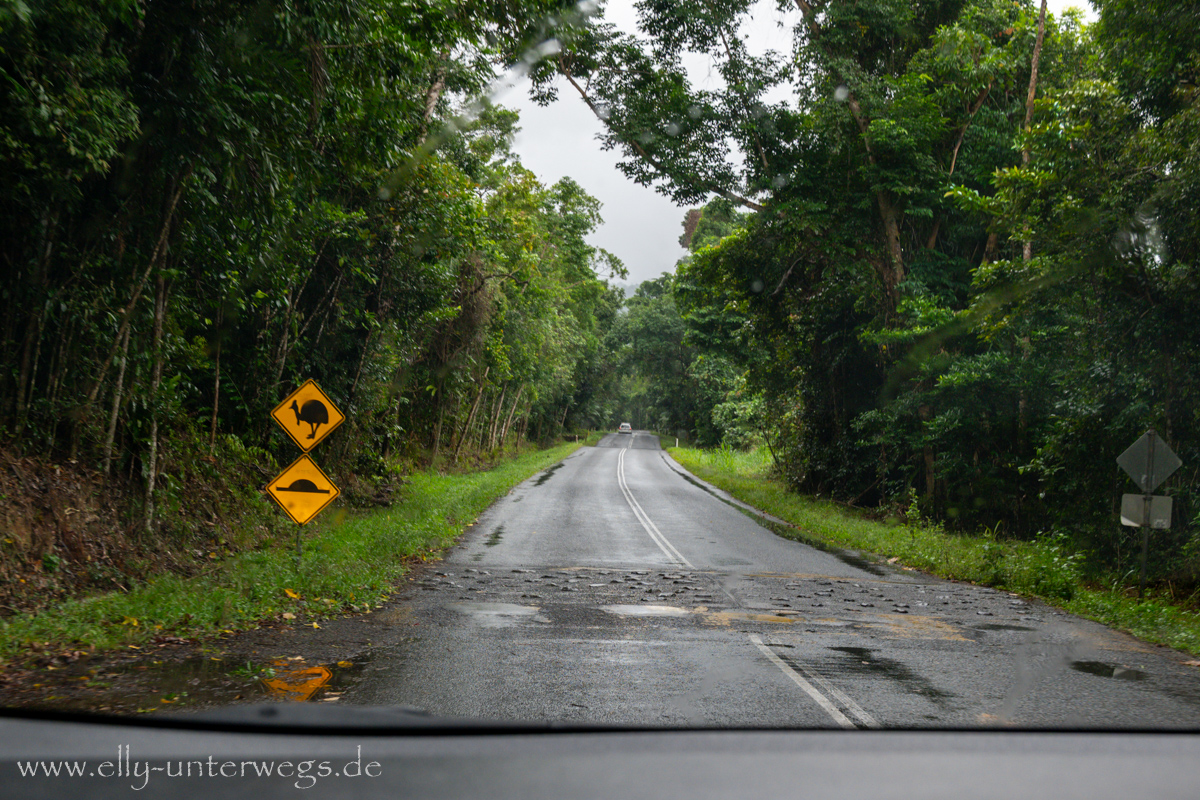 Warnschild: Cassowary-Gebiet in Nordqueensland am Straßenrand