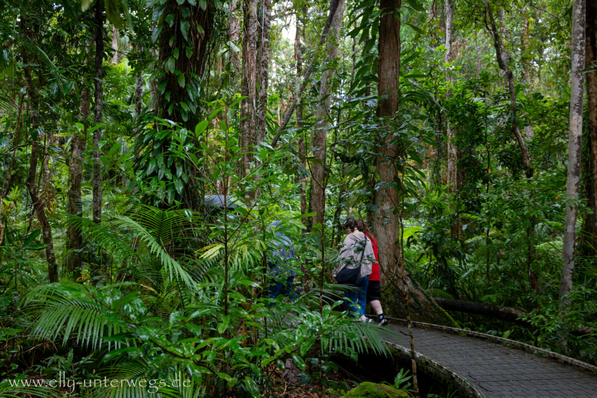 Regenwaldtour: Landschaft und Vegetation im nassen Wetter