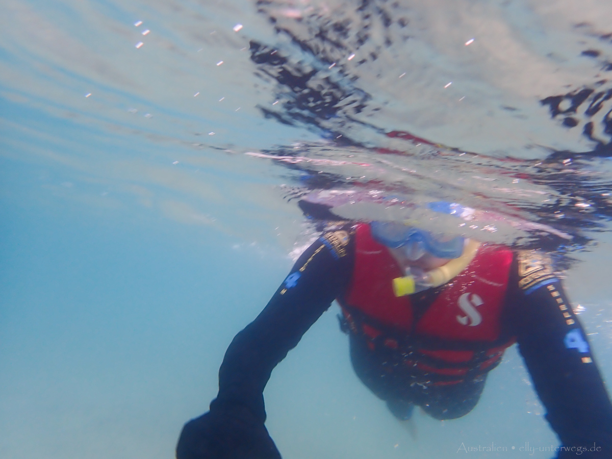 Unterwasseraufnahme: Korallenriff nahe der Wasseroberfläche an Low Isles