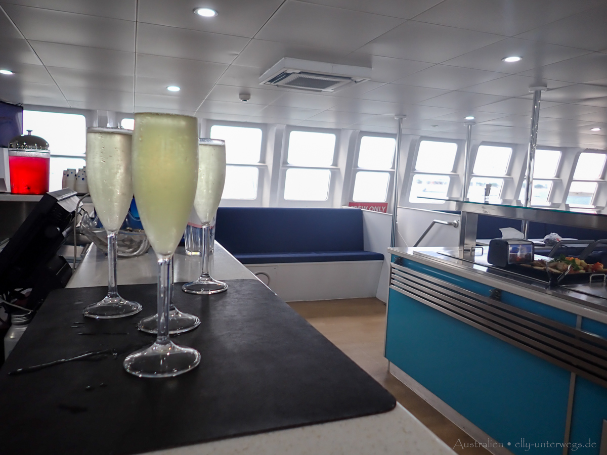 Rückfahrt mit dem Katamaran Wavedancer nach Port Douglas