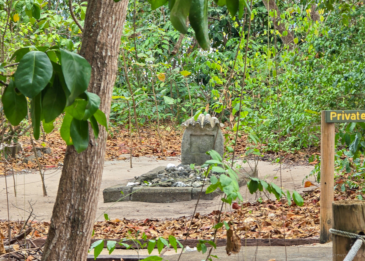 Low Isles: Strand und Vegetation auf der Koralleninsel