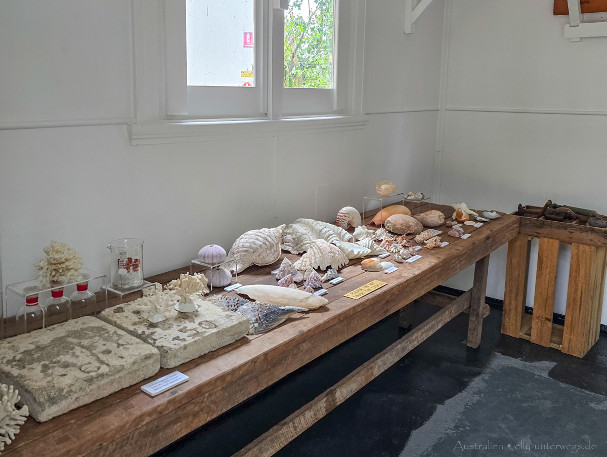 Low Isles: historischer Leuchtturm auf der Insel