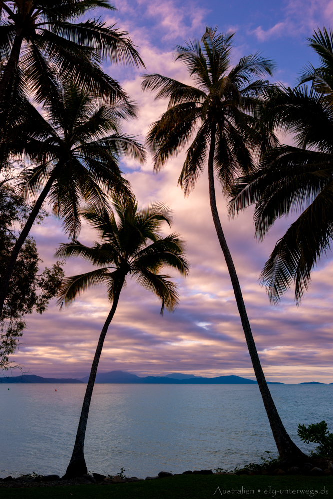 Boot auf dem Meer vor Port Douglas am Abend