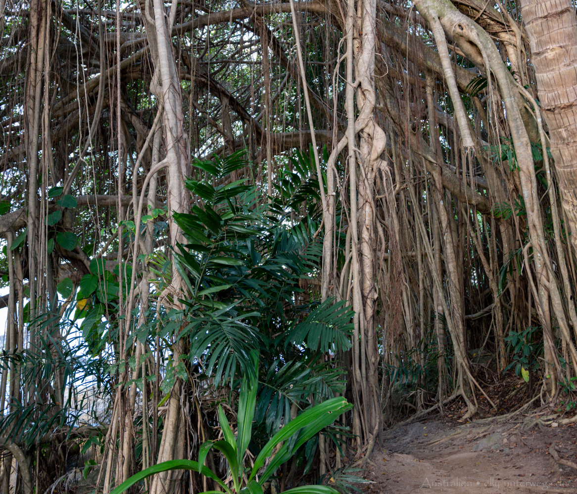 Sonnenuntergang am 4 Mile Beach Lookout in Port Douglas