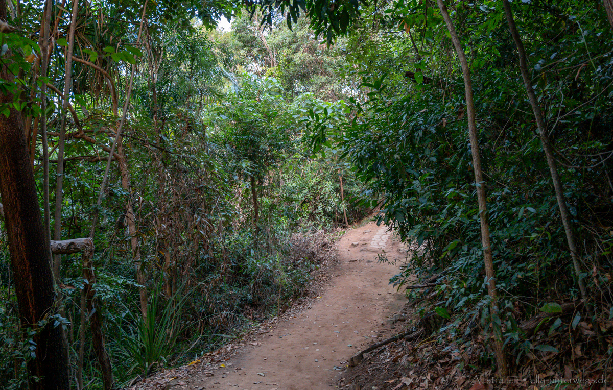 Küste bei Port Douglas vom Walk zum Lookout