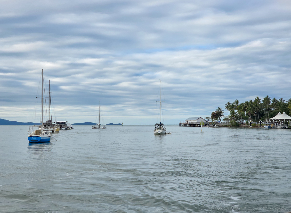 Blick auf Port Douglas nach der Tour