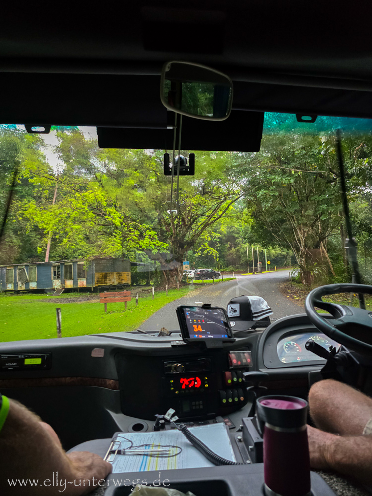 Weg zum Regenwald-Boardwalk an der Mossman Gorge