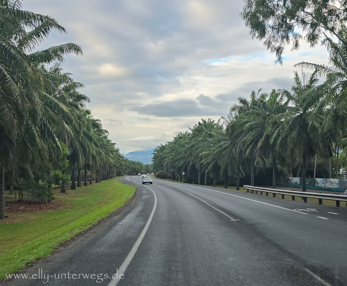 Abholung zur Tour: im Kleinbus unterwegs Richtung Mossman Gorge Visitor Centre