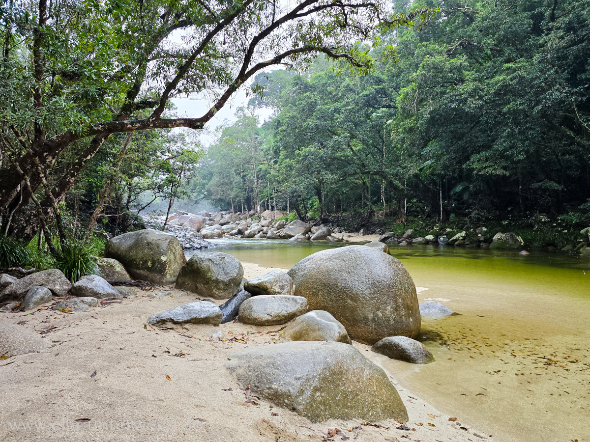 Mossman Gorge: Aussicht auf den Fluss im Regen
