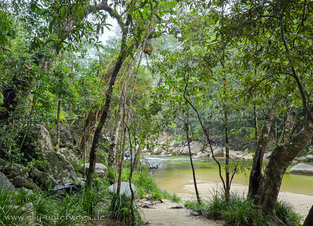 Mossman River an der Mossman Gorge: Flusslauf und Felsen