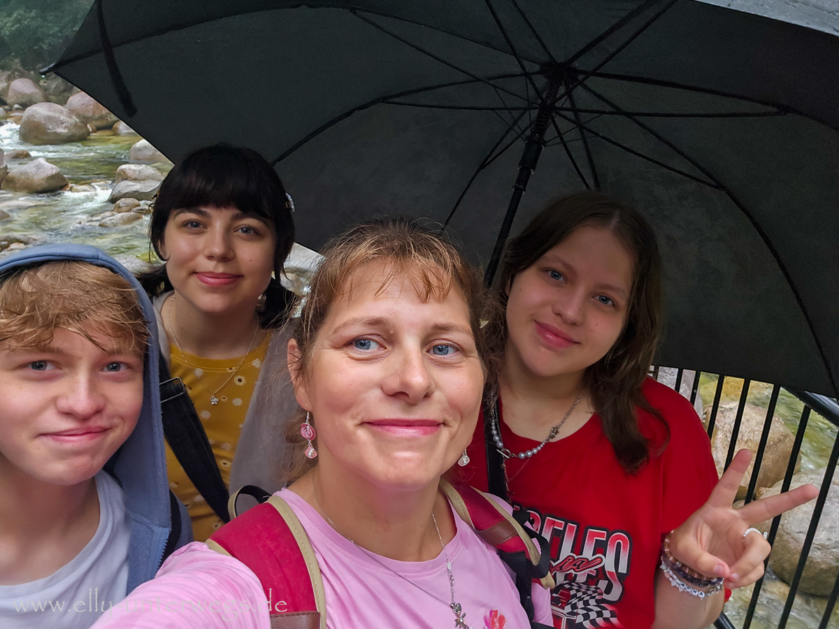 Getarnte Echse im Regenwald: kaum vom Blattwerk zu unterscheiden