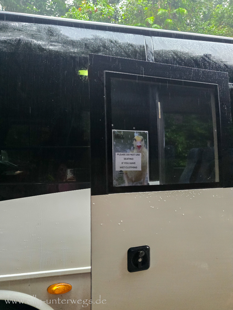 Morning Tea im Visitor Centre: Damper und Getränke als Pause von der Tour