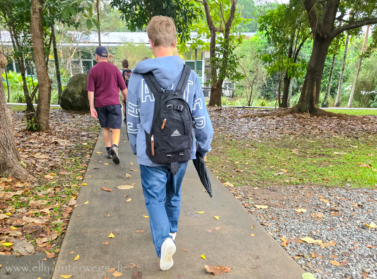 Mossman Gorge Visitor Centre: Eingang und Infobereich