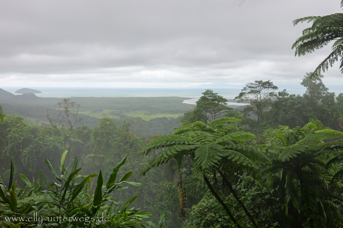Alexandra Lookout: Regen, Nebel und Aussicht in Nordqueensland