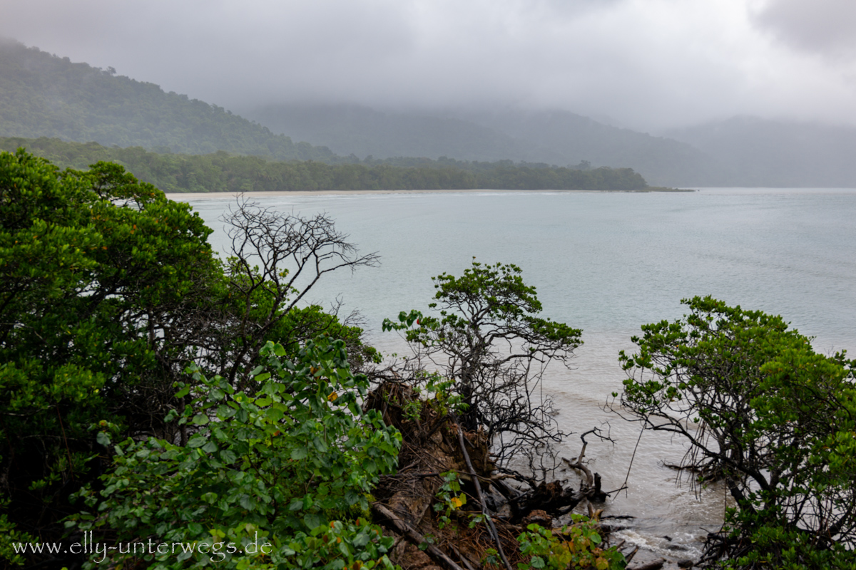 Kurzer Walk bei Cape Tribulation: tropischer Waldpfad im Regen