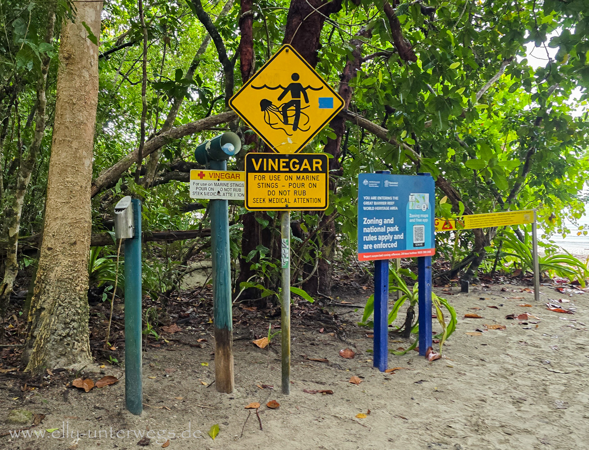 Cape Tribulation bei Regen: Strand, Meer und Regenwald im Hintergrund