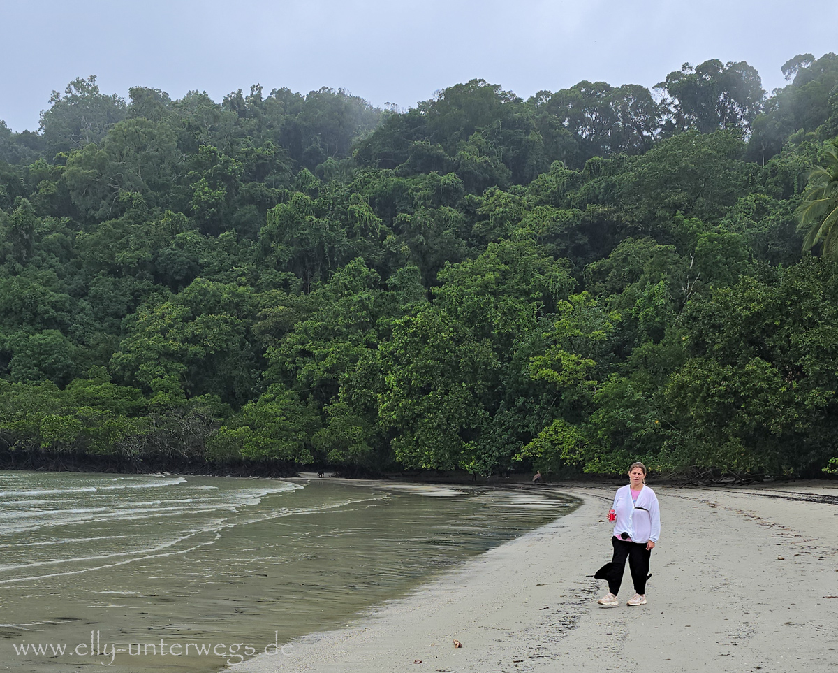 Cape Tribulation: Strand und Mangroven bei Regenwetter