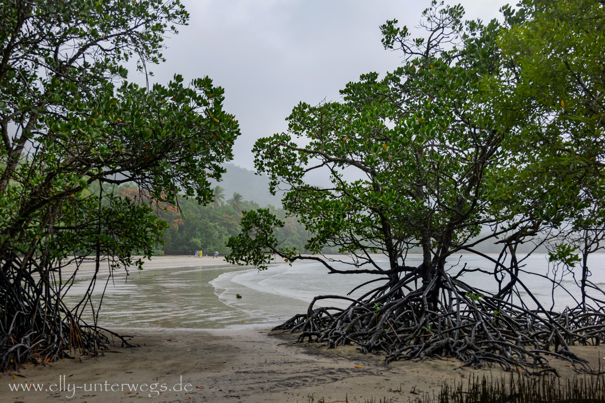 Cape Tribulation: Regenwaldküste in Nordqueensland