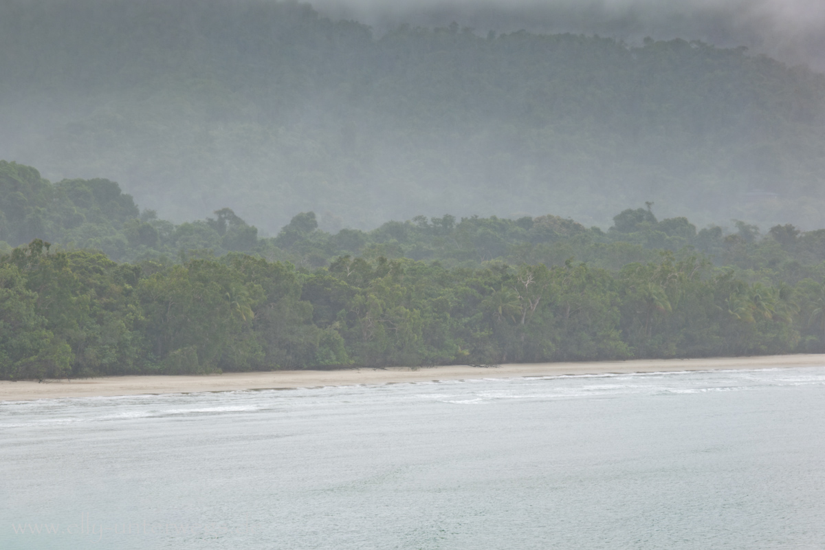 Cape Tribulation: Regenwald direkt am Meer, Küstenlinie und Vegetation