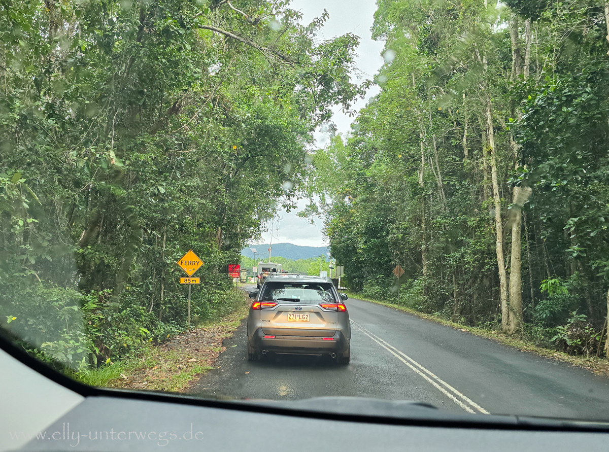 Port Douglas: Rückfahrt nach der Tour, tropische Landschaft in der Umgebung