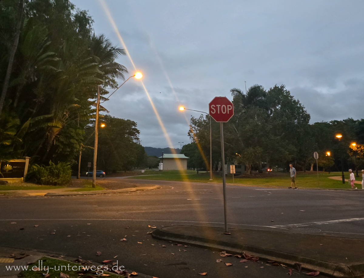Port Douglas bei Nacht: Straße und tropische Stimmung