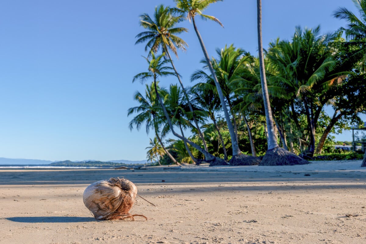 Mission Beach Beach 13