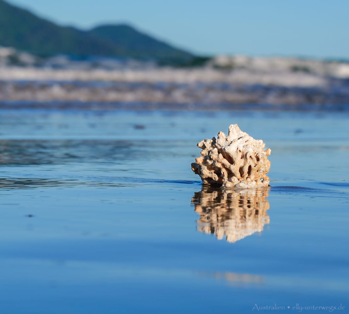 Mission Beach Beach 16