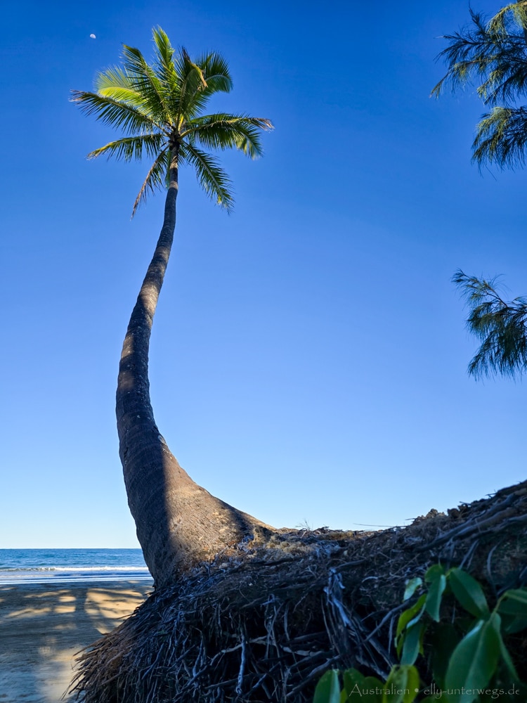 Mission Beach Beach 27