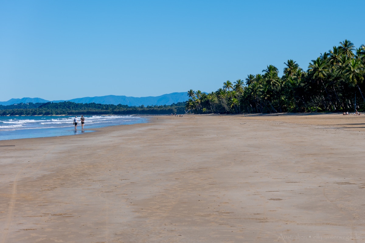 Mission Beach Beach 6