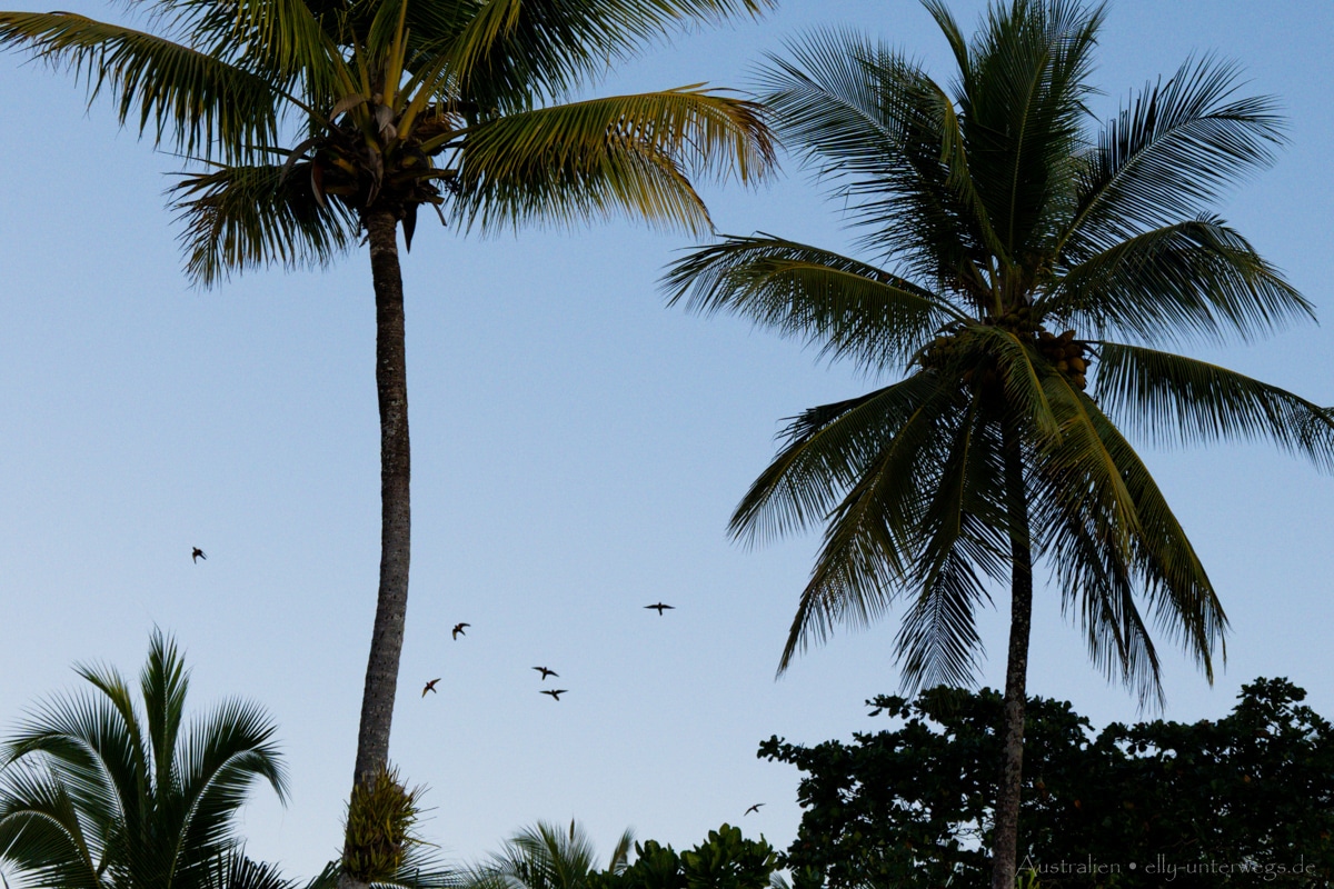 Mission Beach Sunset 1