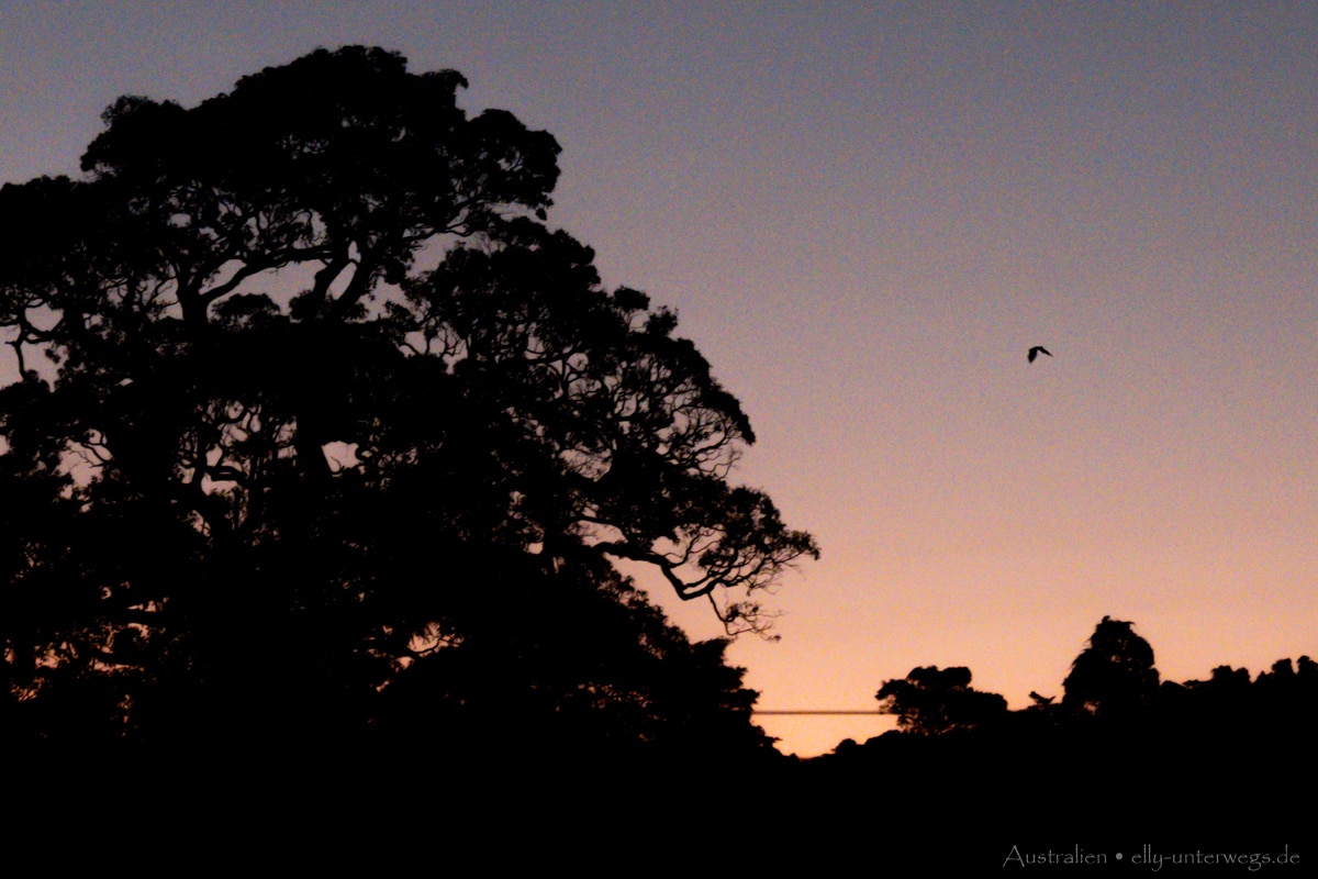Mission Beach Sunset 6