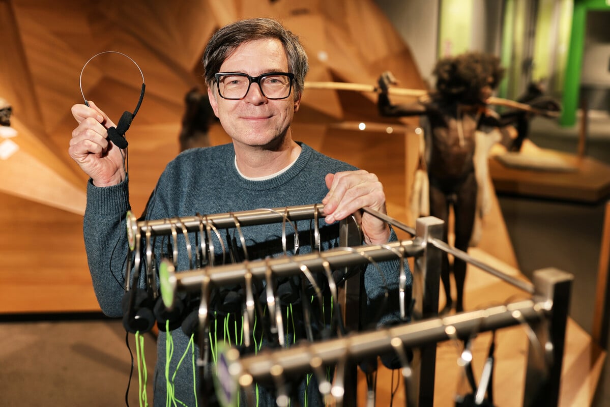 Moderner Ausstellungsbereich im Neanderthal Museum