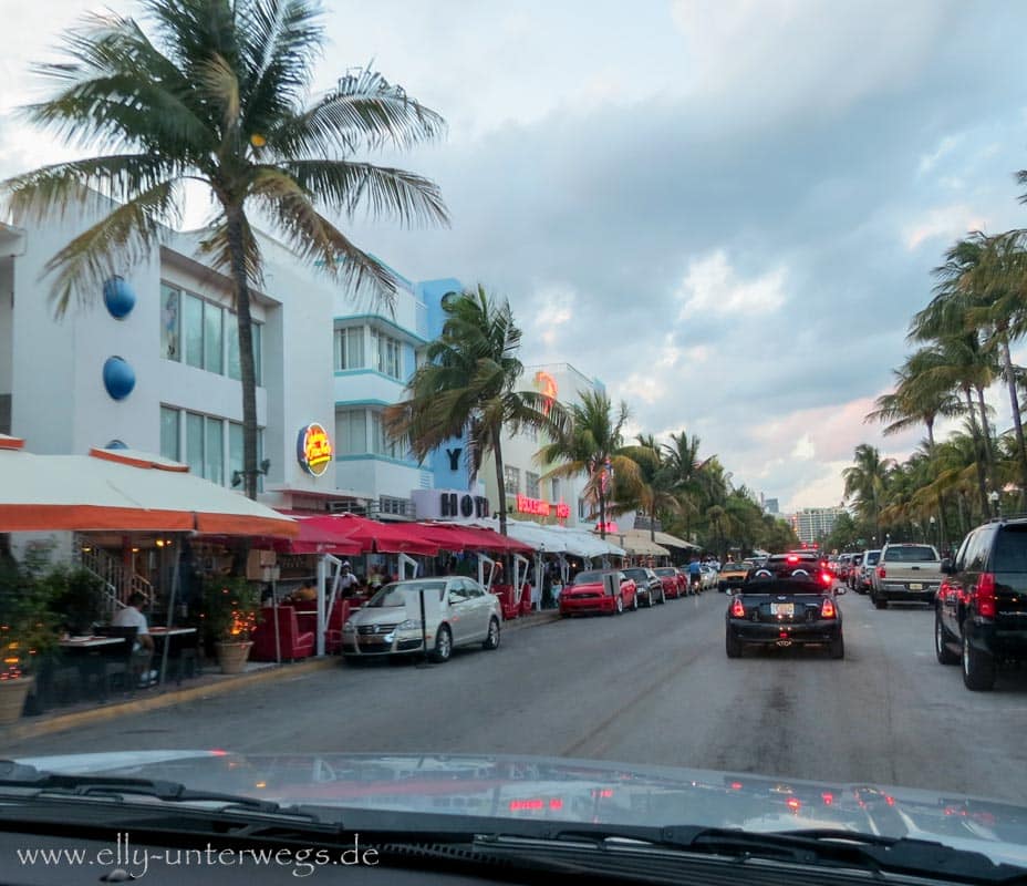 Florida mit Kindern: Skylineblick am Watson Park