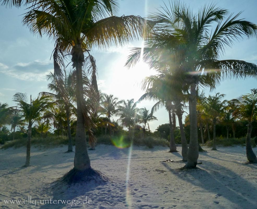 Florida mit Kindern: Crandon Beachpark auf Key Biscayne